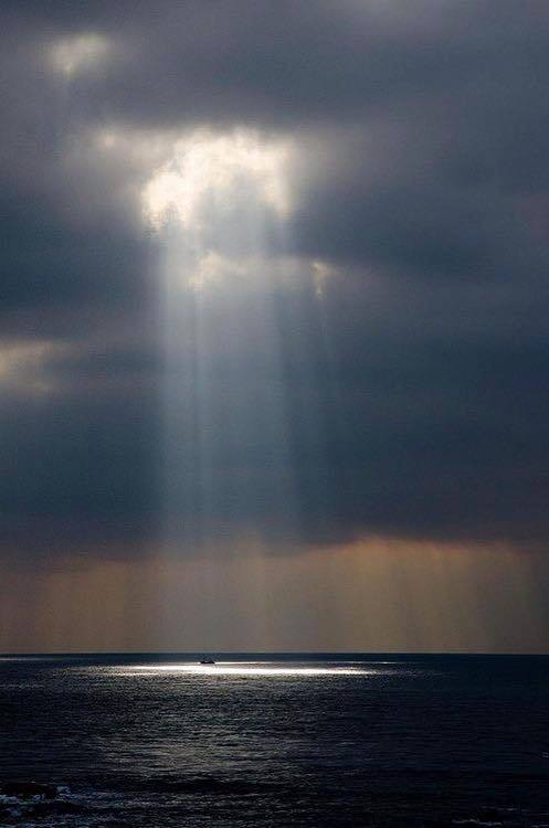 Lee más sobre el artículo Un Rayo De Sol…