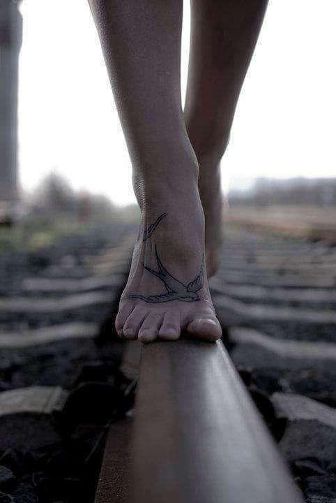 volar volar